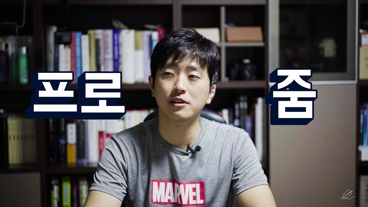 매빅2 프로 vs 매빅2 줌..  제 선택은요...
