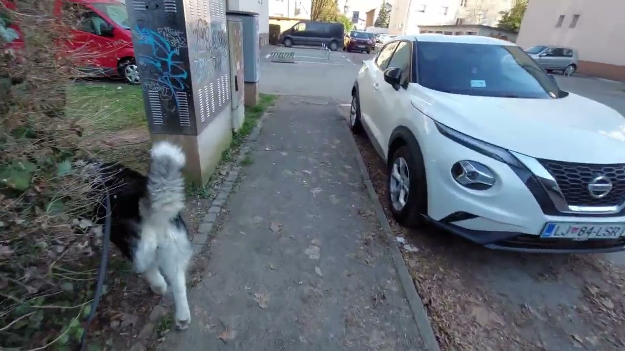 We haven't walk here in a while