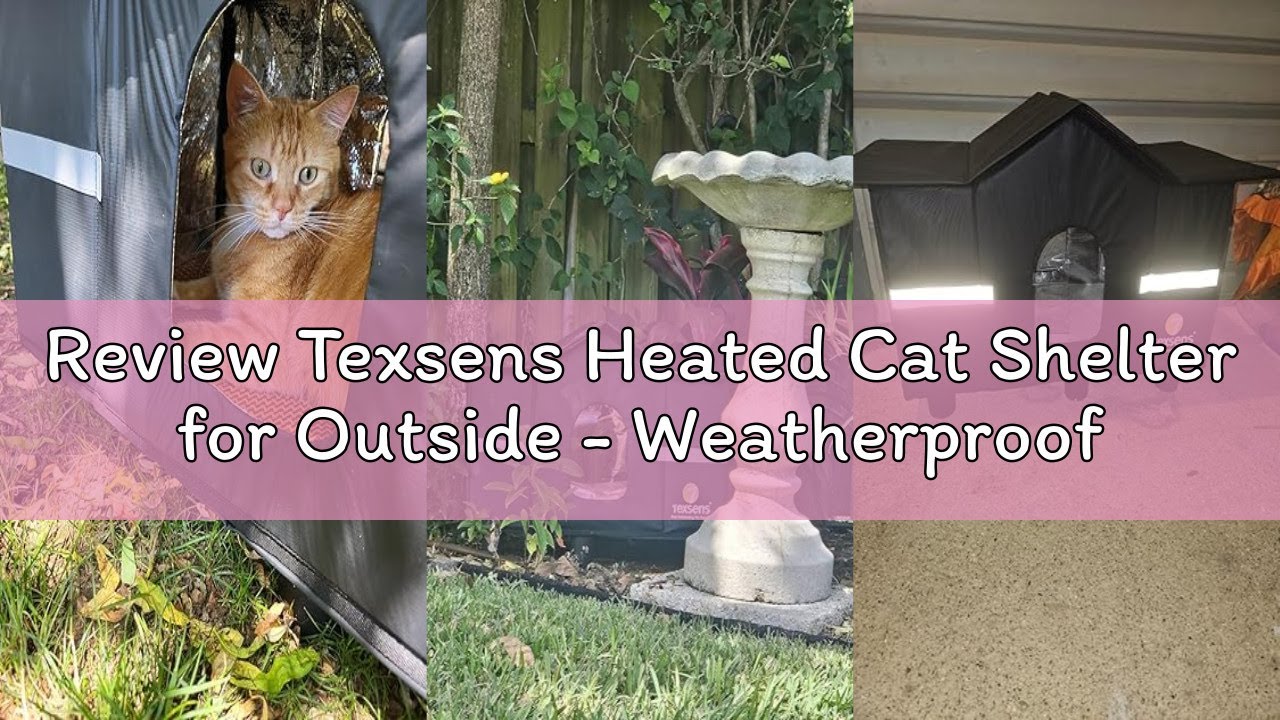Review Texsens Heated Cat Shelter for Outside - Weatherproof Large Outdoor Cat House with Roof Windo