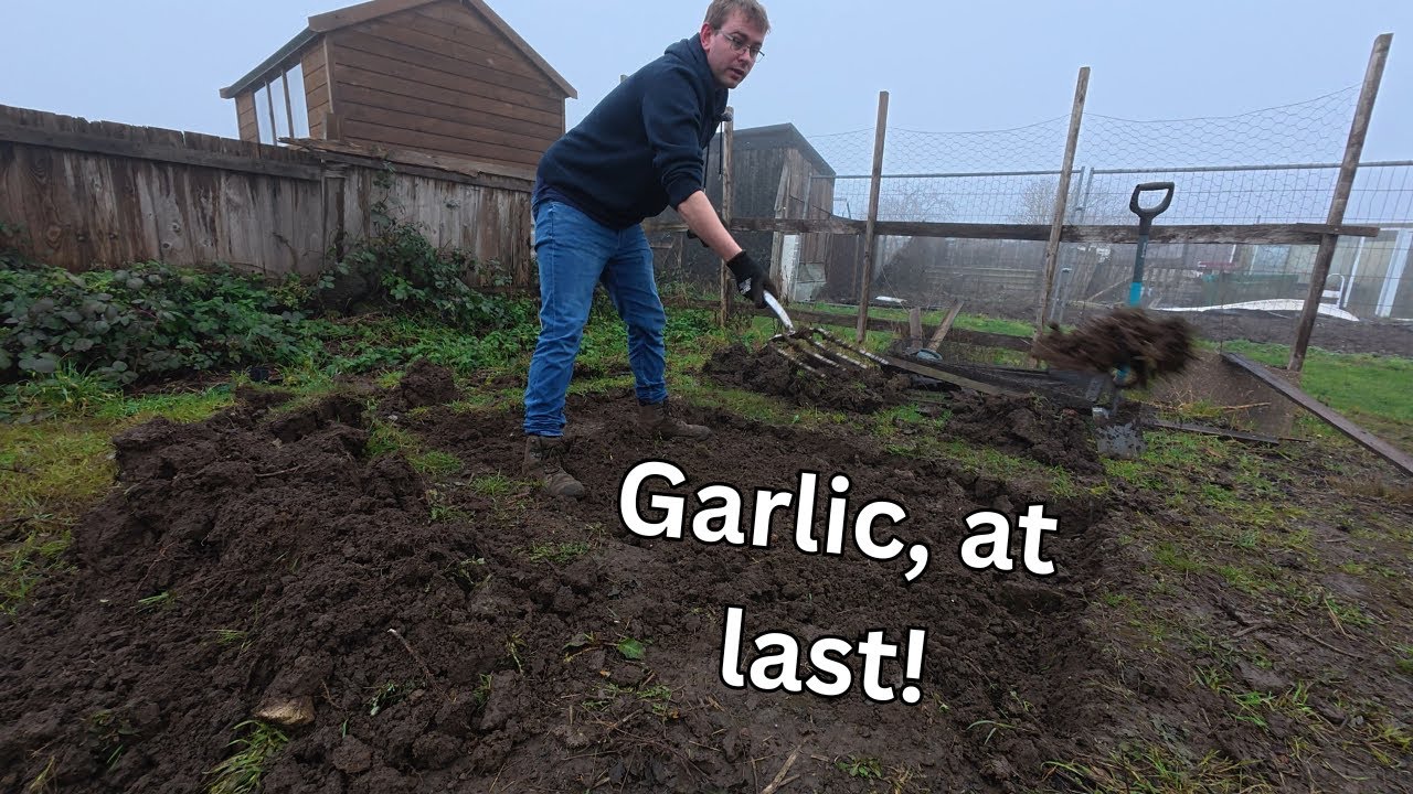 First Bed Down | Garlic in the Ground – Better Late Than Never