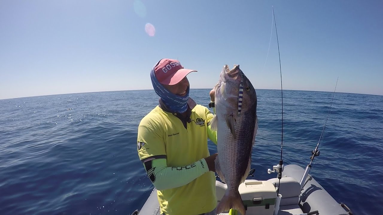 Slow Pitch Jigging Madness - Part 7 - Pink Dentex, Golden Grouper, Dentex