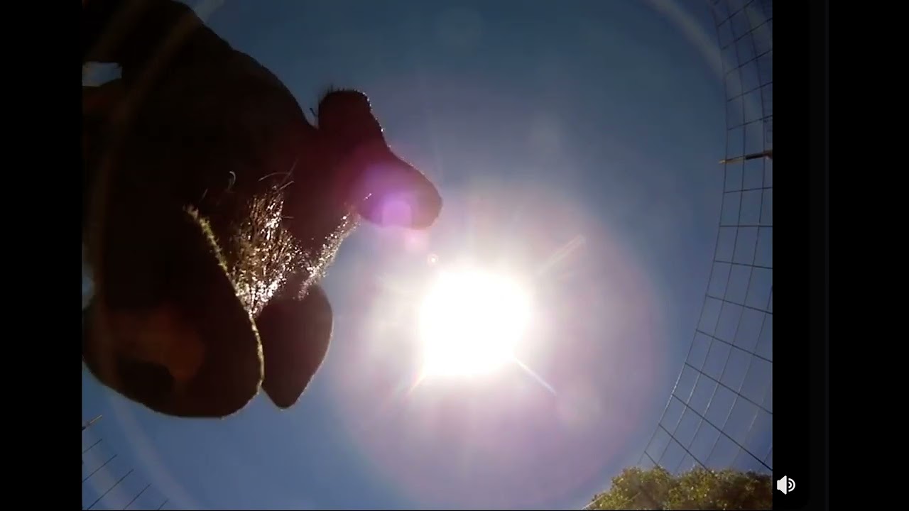Idiot drops camera out of plane - See where it lands!  #funnyvideo