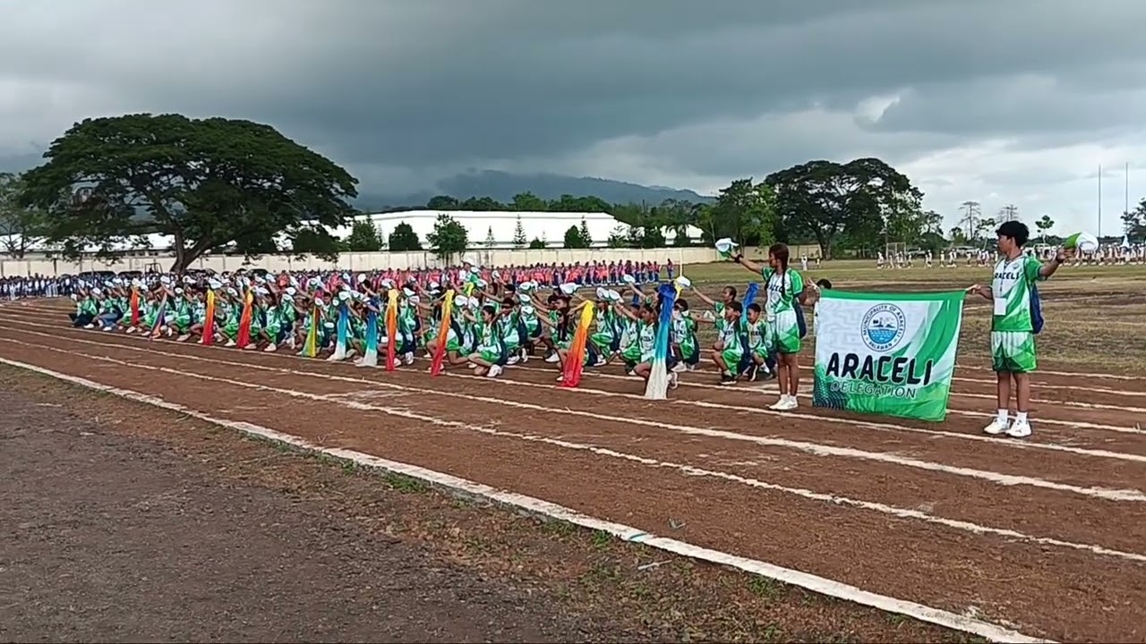 ARACELI PALAWAN ATHLETIC DELEGATION SA PALARONG PANLALAWIGAN 2026