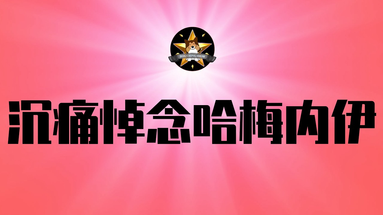 北京沉痛哀悼哈梅内伊，习近平震惊！对中国大战略的重大冲击｜川普的TACO风格改变了吗？带着好牌去北京｜伊朗｜哈梅内伊｜习近平｜川普｜霍尔木兹海峡｜TACO