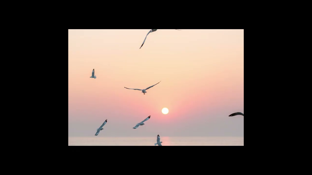 Tóm tắt truyện 