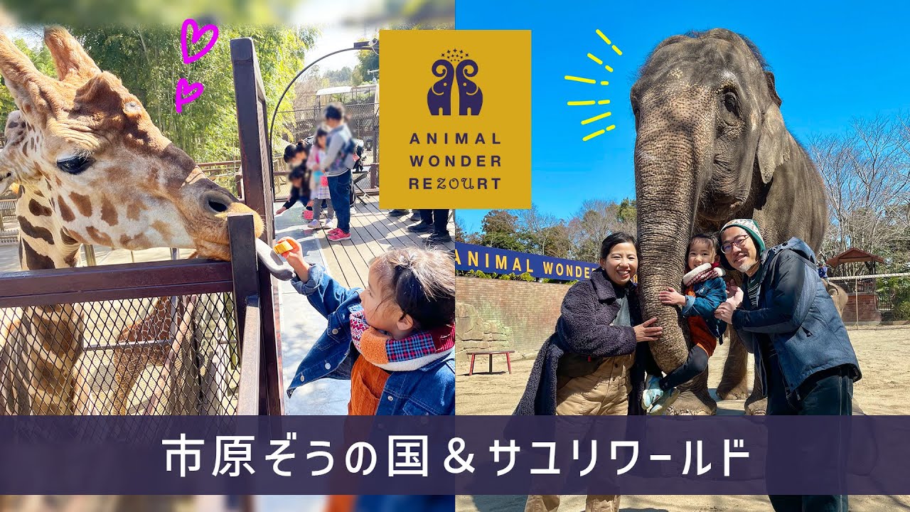 距離が近すぎて楽しい動物園！市原ぞうの国＆サユリワールド 千葉｜Animal Wonder Rezourt in Ichihara