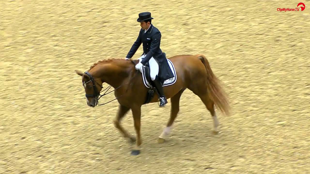 Spanish Severo Jurado Lopez / Lorenzo 2016 CDI3 freestyle win Herning DEN