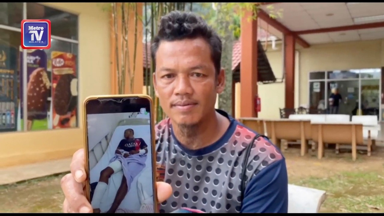 Pemuda cedera digigit beruang ketika cari herba dalam hutan