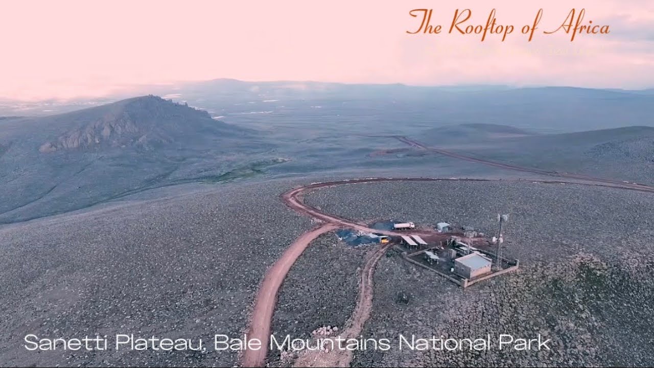 Bale Mountains National Park | Umar Suleyman | PM Dr. Abiy Ahmed | Ethiopia 