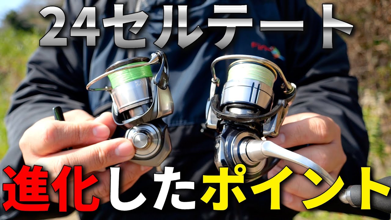 24セルテートはどこが進化した？19モデルを使い倒したから言える、強化ポイントを解説します。