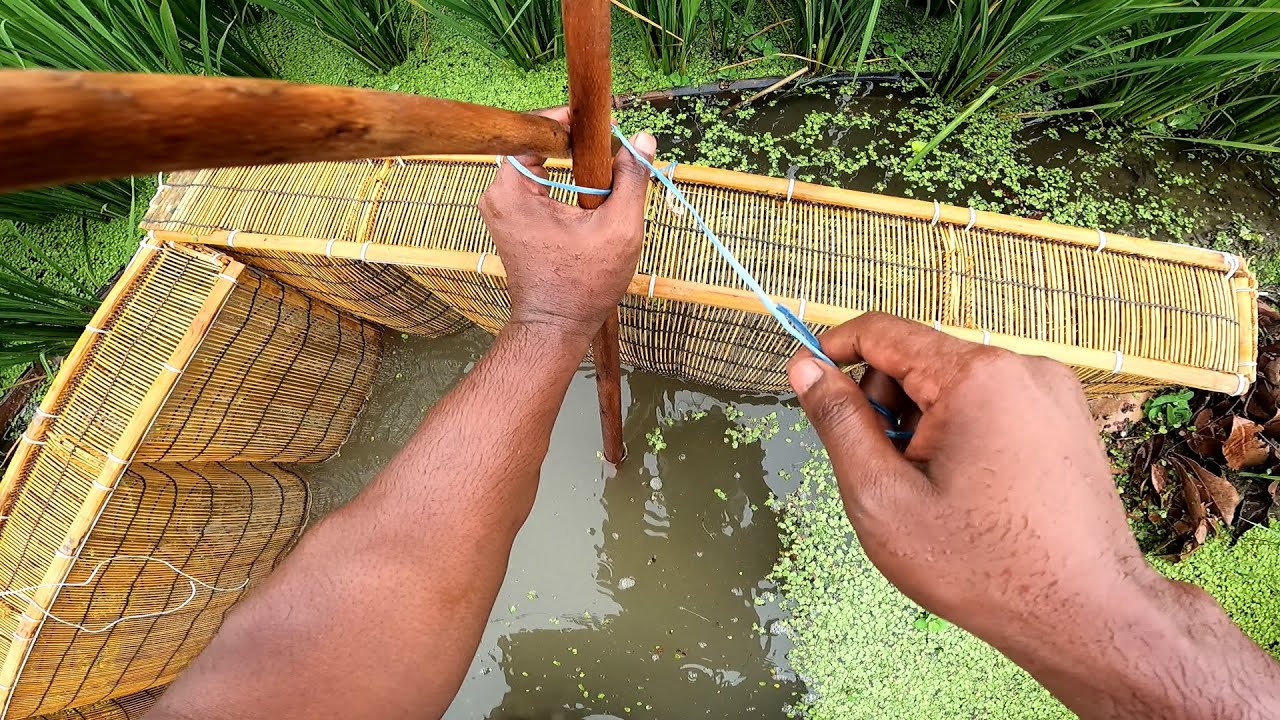 বৃষ্টিতে নিজের হাতে মাছ ধরলাম | Fishing in rainy day | 2023