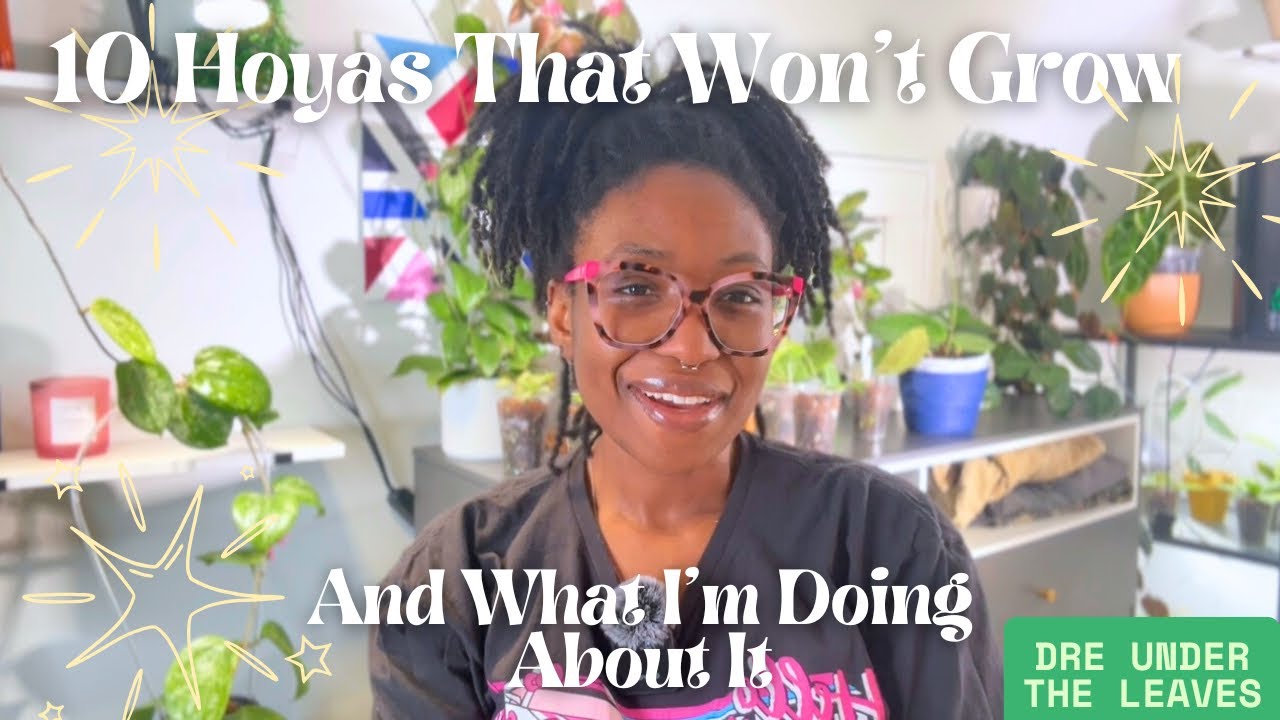 10 Hoyas That Just Won’t Grow 🌱 | What I’m Doing About It