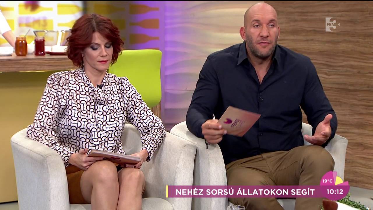 Pintér Tibor lova kis híján élő adásban makacsolta meg magát - tv2.hu/fem3cafe