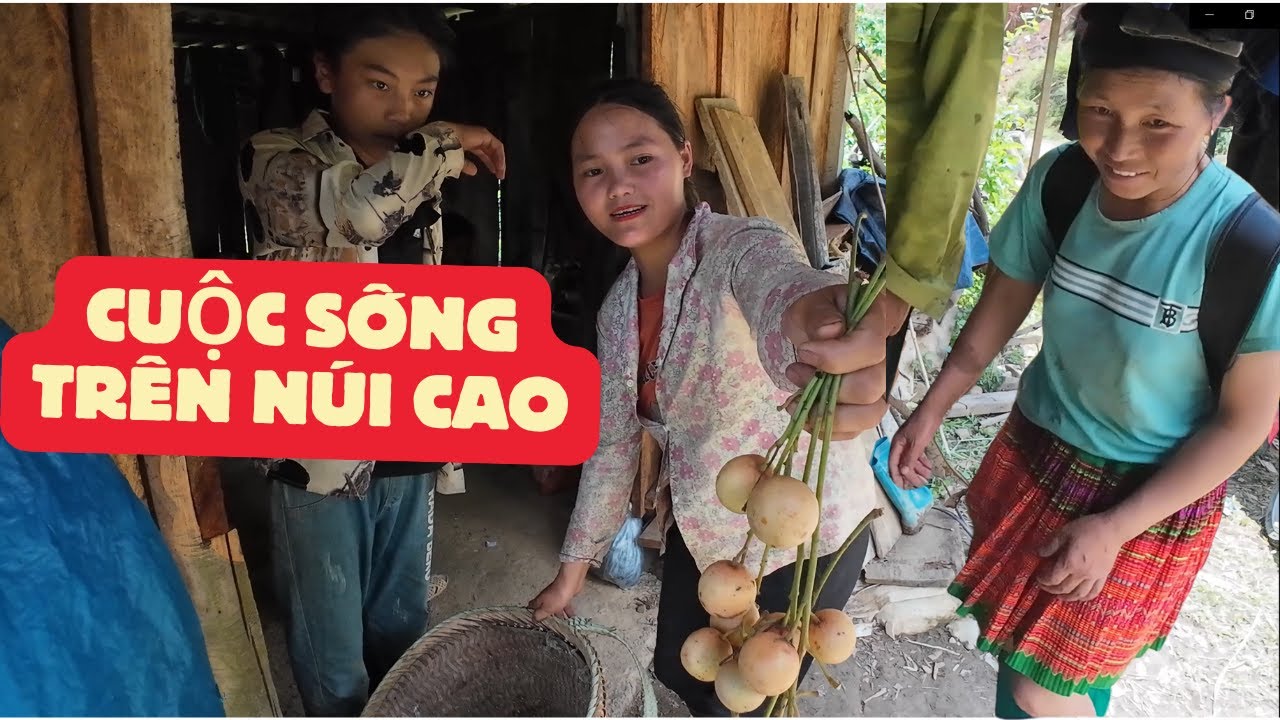 Khám Phá Cuộc Sống Của Người H’Mông Và Người NAHA Trên Núi Đá Tây Bắc – Càng Lên Cao Càng...