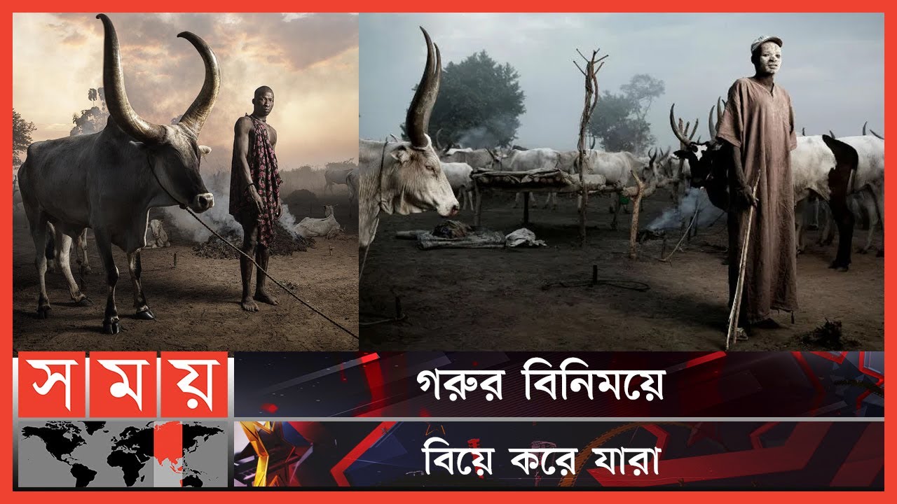 গরুর জন্য জীবন দিতে পারে যে সম্প্রদায় | Mundari People | Ethnic Group | South Sudan | Somoy TV