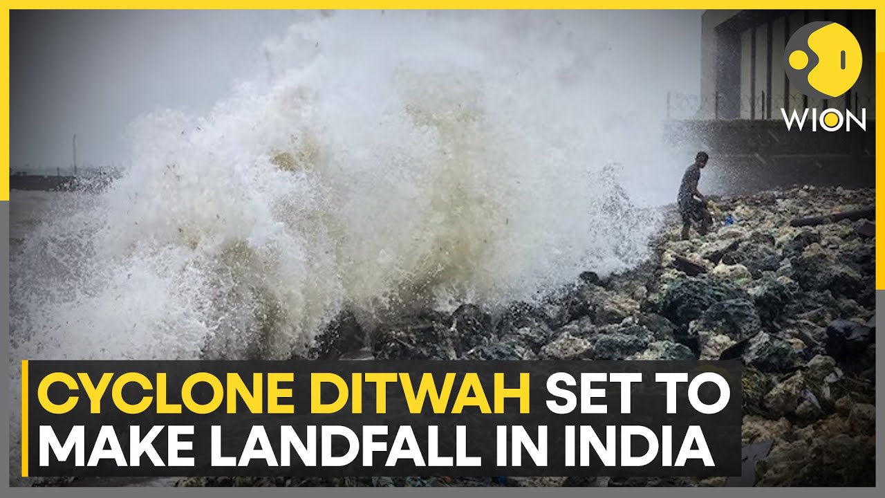 Cyclone Ditwah: Tamil Nadu, Puducherry to be Hit by 'Ditwah'; 24 NDRF Teams Deployed | WION