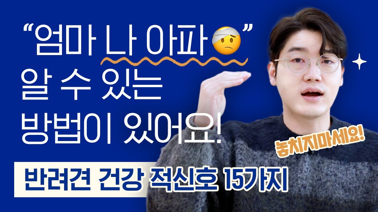 강아지의 