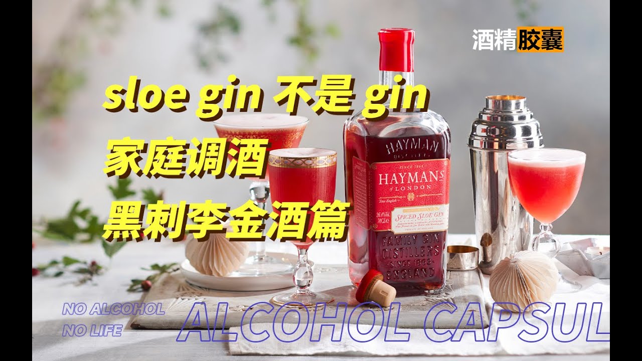 源自家庭的黑刺李金酒是金酒吗？ sloe gin cocktails