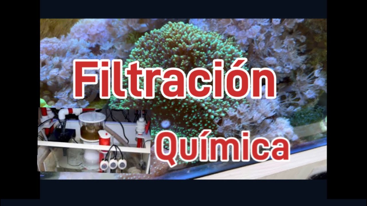 Filtracion en el acuario parte 3 quimica /skimer o separador de albumina como funciona