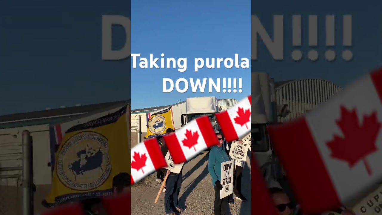 🇨🇦 TAKING DOWN Purolator 