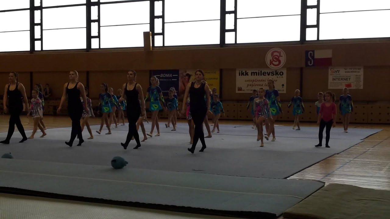 Sokolská akademie Milevsko - 5. března 2015