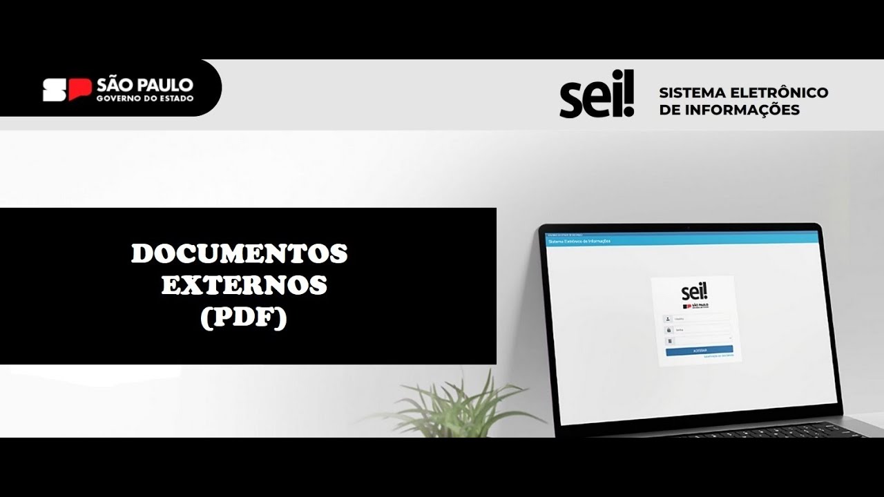 Documento Externo
