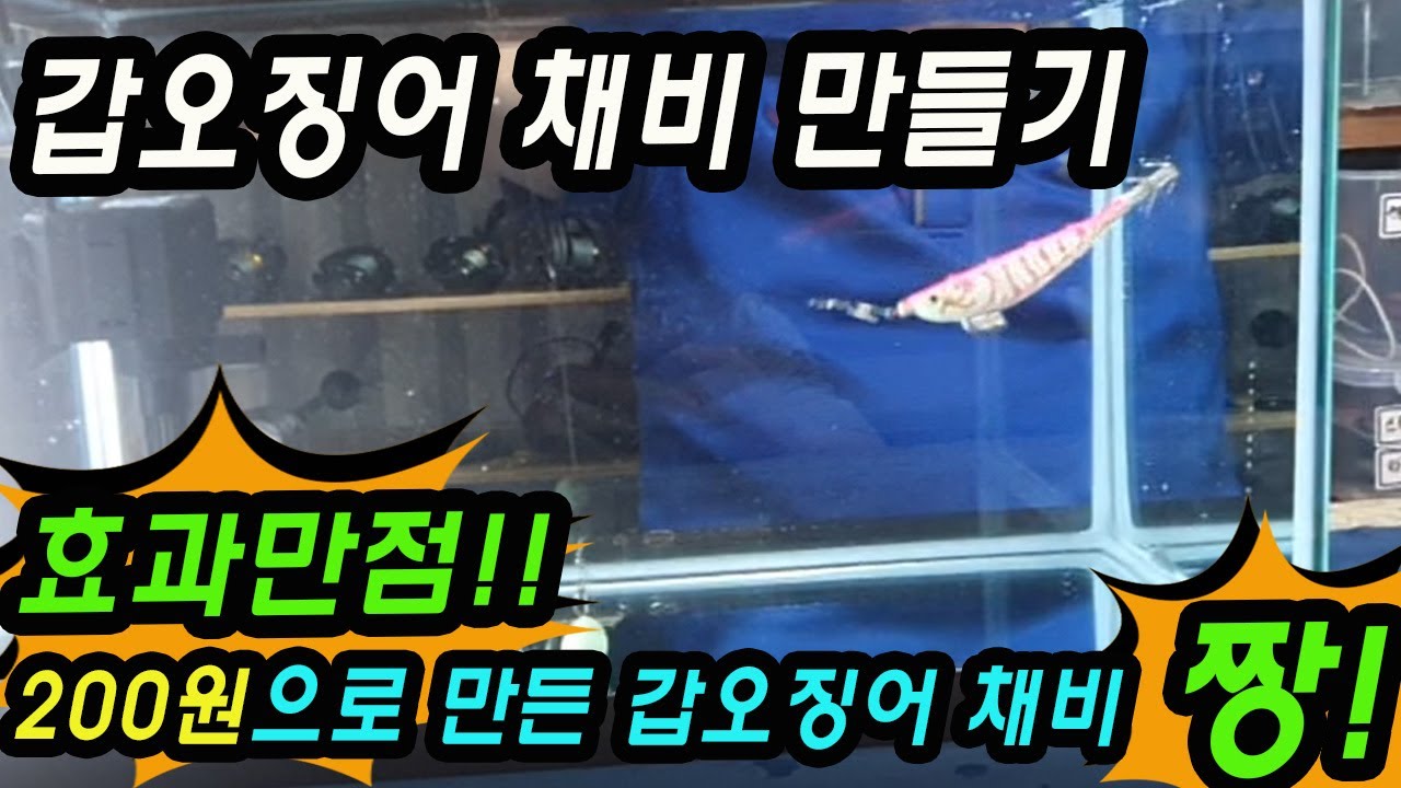 [효과만점] 200원으로 만든 갑오징어 채비 짱~~!! 저렴한 비용으로  효과좋은 채비를 만들수 있어요 - 짧은 목줄 채비 효과