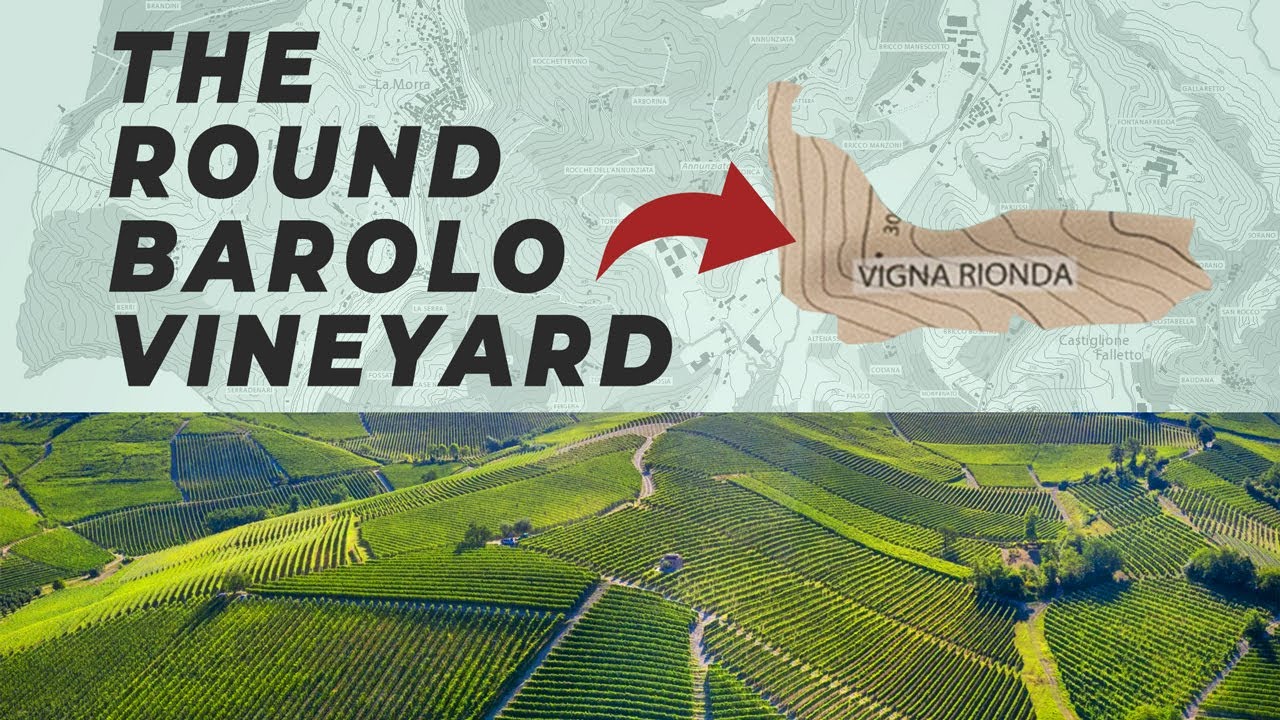 Barolo Cru | Vigna Rionda