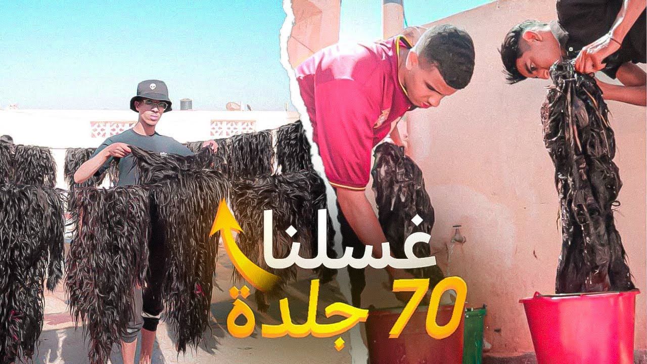 غسلنا 70 جلدة بالغة 🐐🤯