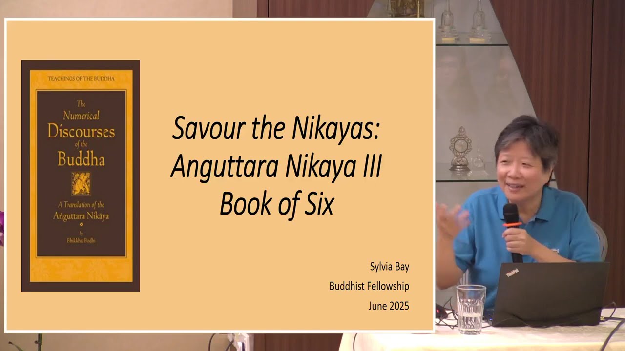 Savour the Nikayas - Anguttara Nikaya (Part 3) by Sis Sylvia Bay - 20250601