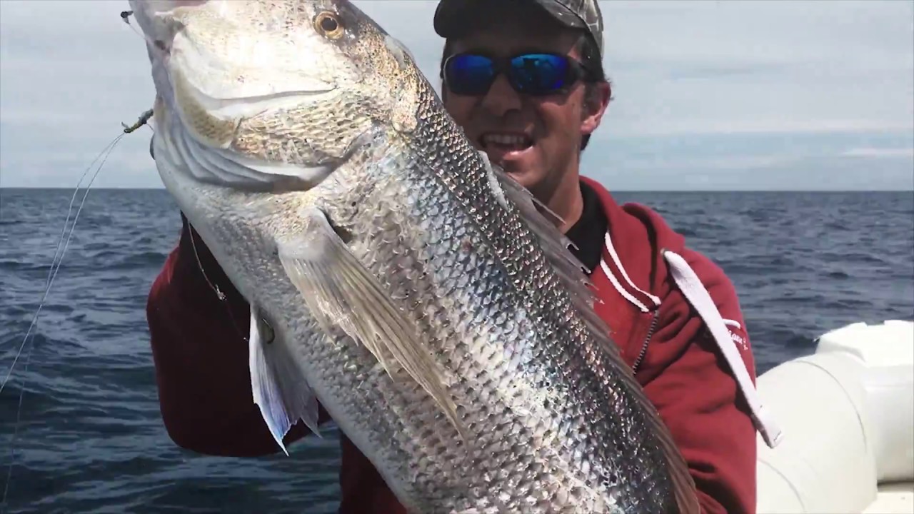 Pesca a Traina ai Dentici con Ami Circle