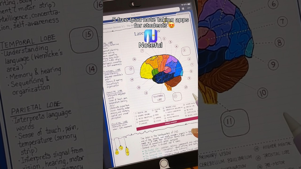 Free iPad note taking apps for students 😍  | study with me | digital planner | apple
