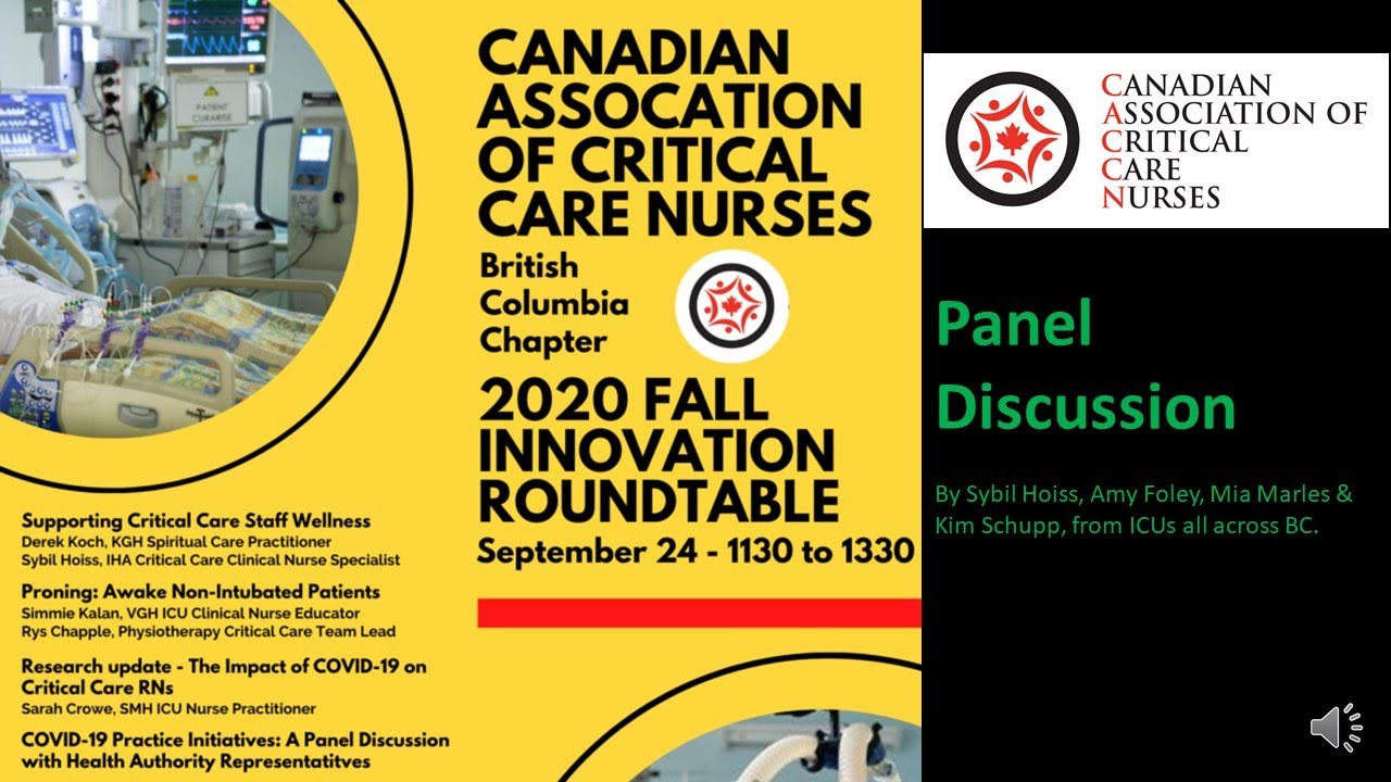 Fall 2020 Roundtable   Panel