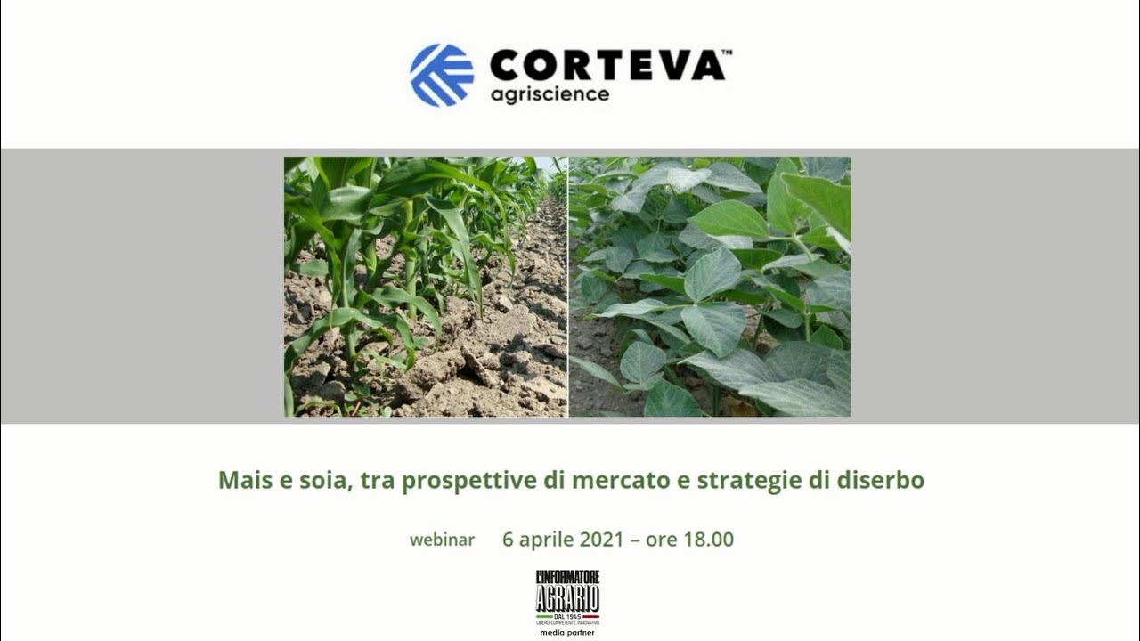 Webinar Corteva: Mais e Soia, tra prospettive di mercato e strategie di diserbo