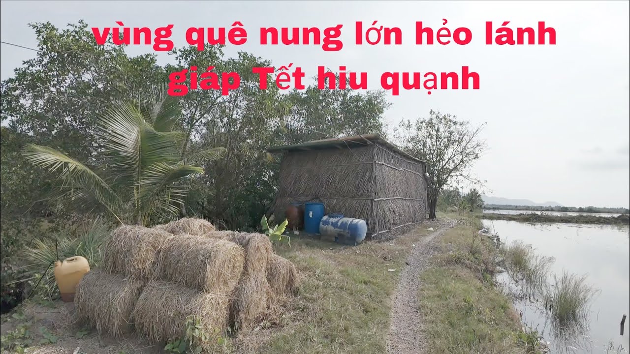 Vùng Quê Nung Lớn Hẻo Lánh giáp Tết  Hiu Quạnh.