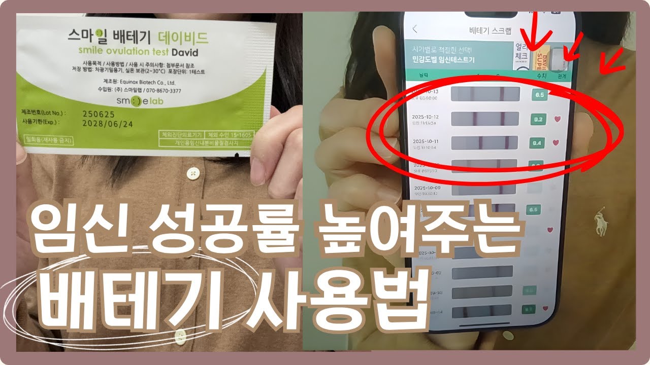 [임신준비] 배란 테스트기로 임신 확률 높이는 법 ㅣ 배테기 사용법