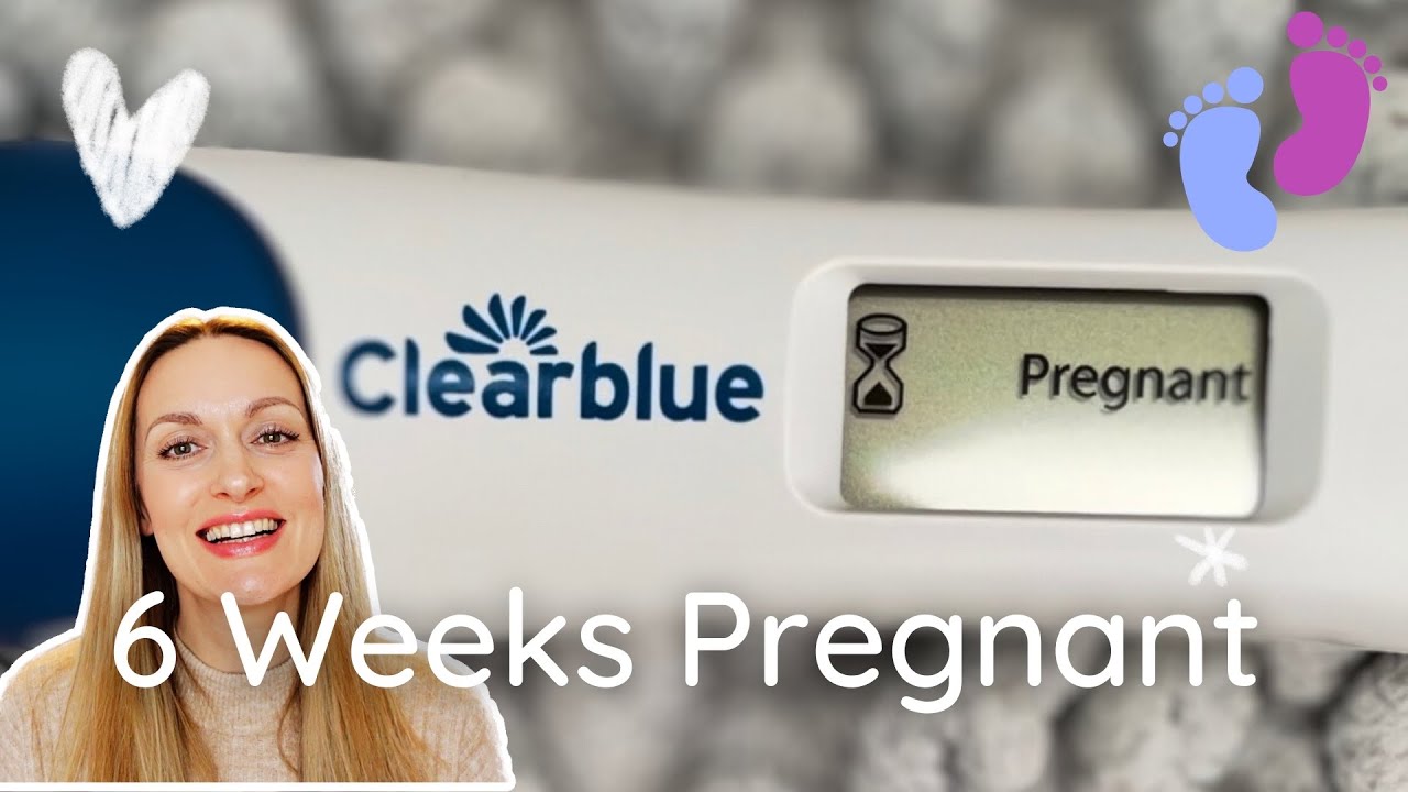 6 WEEKS PREGNANT VLOG PREGNANCY UPDATE | EARLY PREGNANCY SYMPTOMS | PREGNANCY VLOG Rebecca Roberts