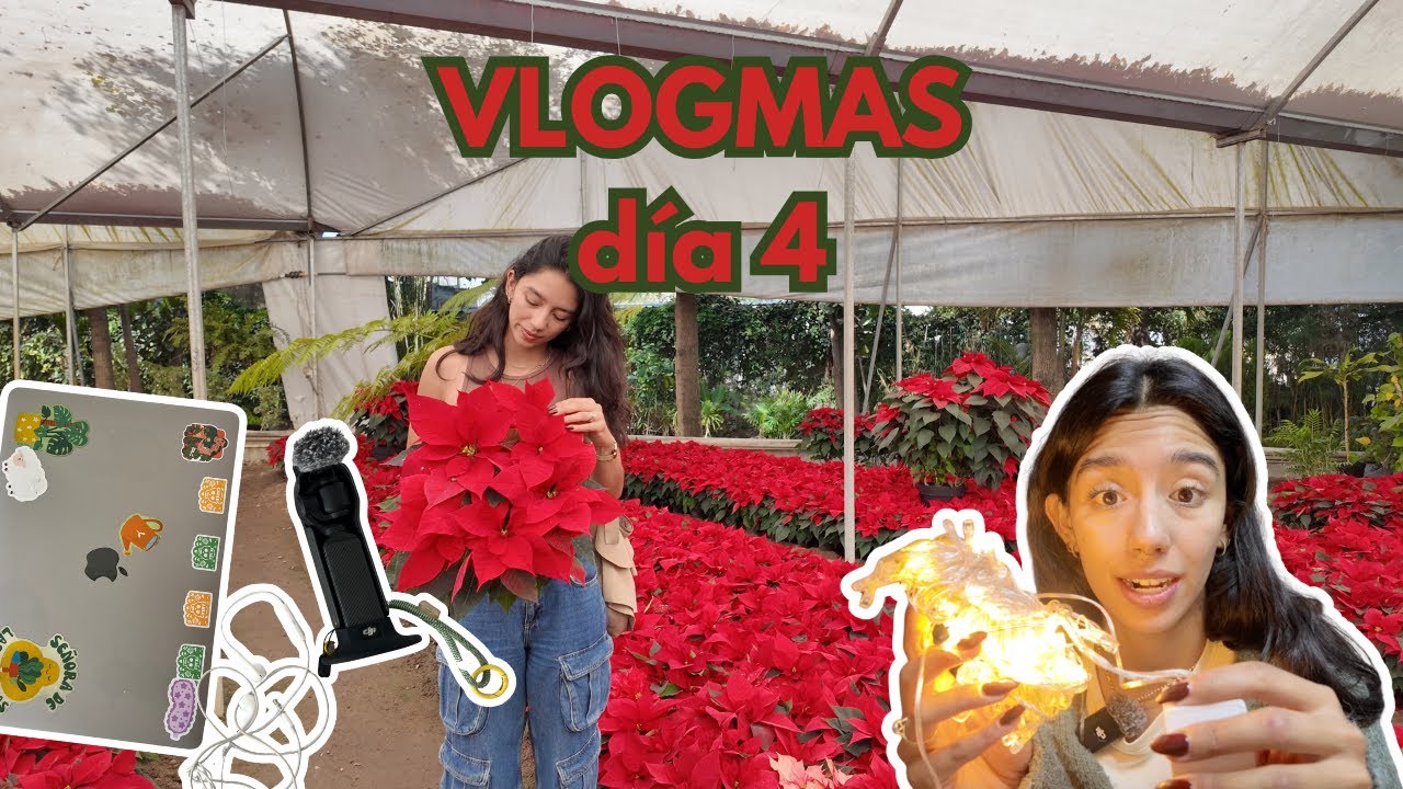 Vlogmas 4🎄I Vamos por nochebuenas, lucha libre y por fin hacemos gelatina🙈