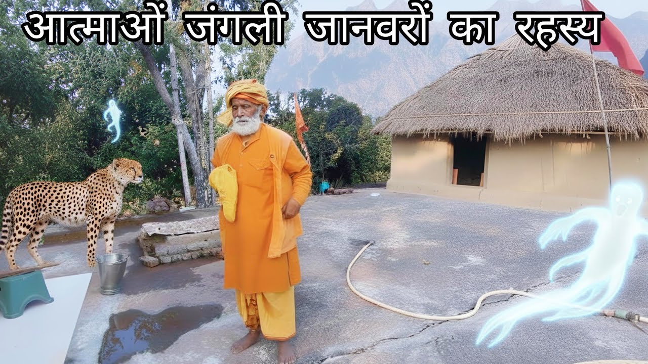 सिद्धि या माया? जंगल की गहराई में छिपे 'आत्माओं' का असली सच