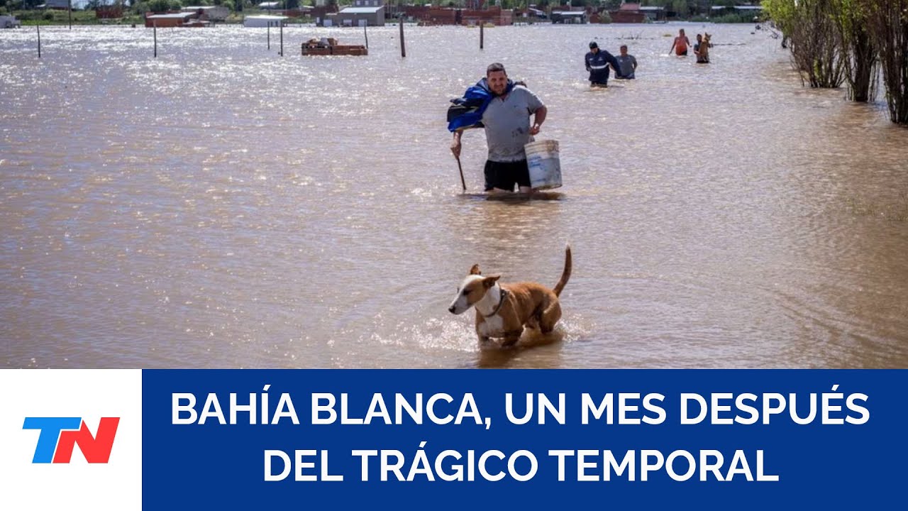 BAHÍA BLANCA, A UN MES DE LA TRAGEDIA: Reconstruirse en medio de las secuelas físicas y emocionales