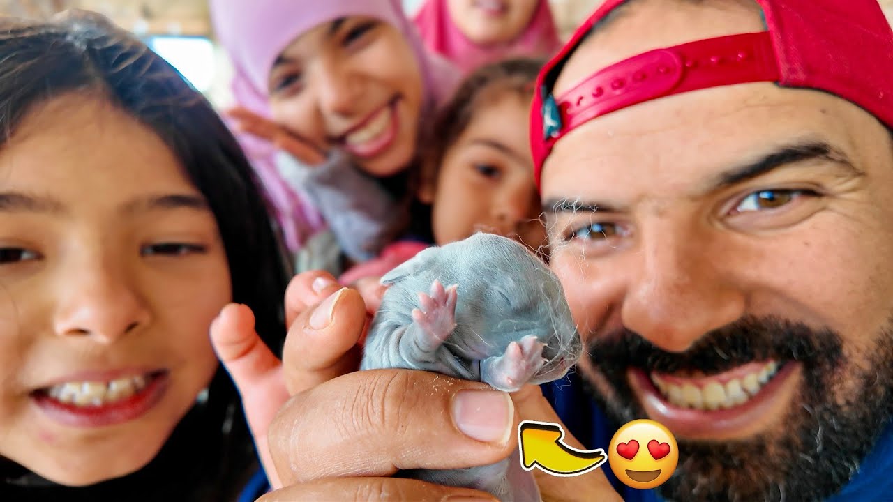 شيء صغير جدًا… لكنه حرّك قلوبنا كلنا ❤️