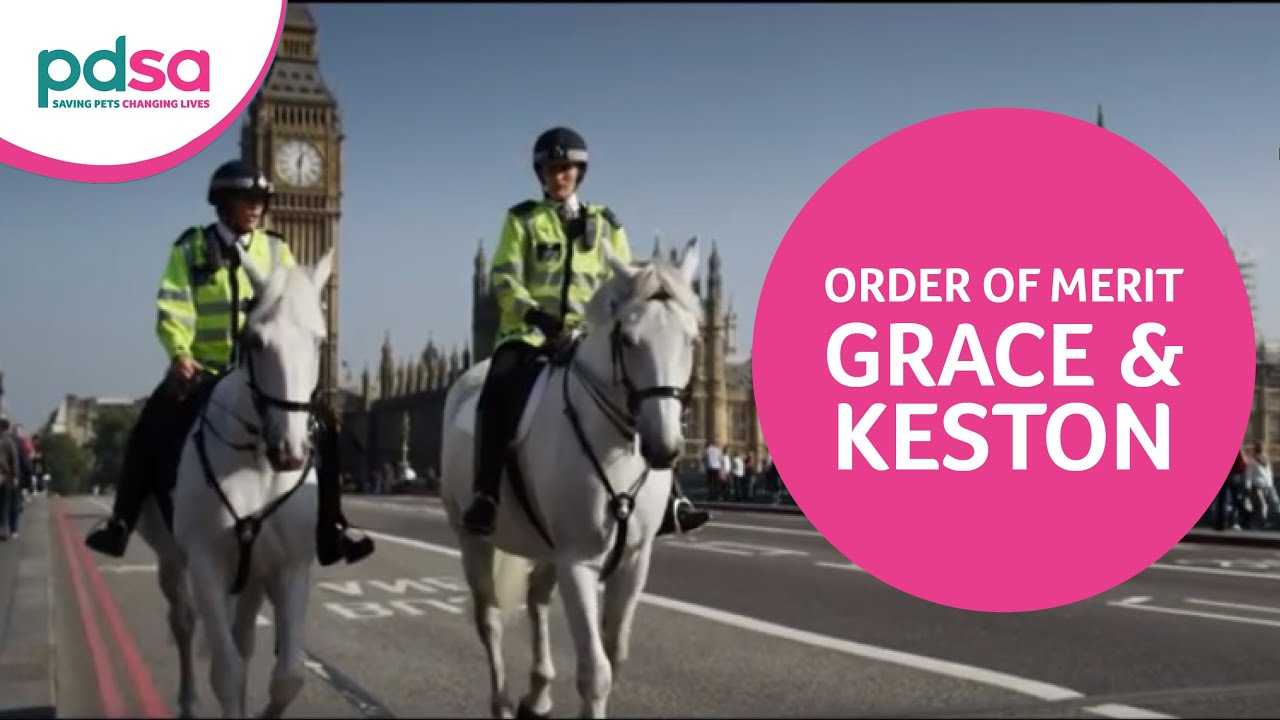 Metropolitan Police Horses Grace & Keston Are Awarded PDSA Order Of Merit