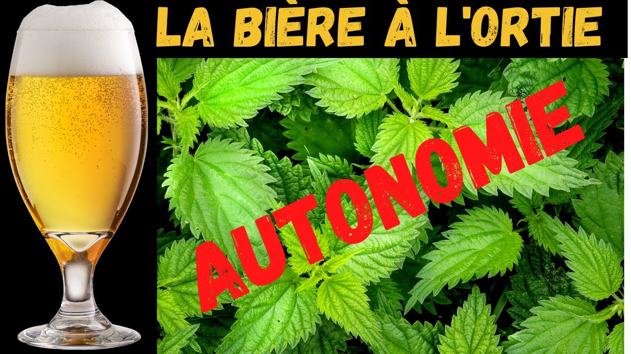 Comment faire de l'alcool? Recette de la bière à l'ortie - la bière de l'autonomie