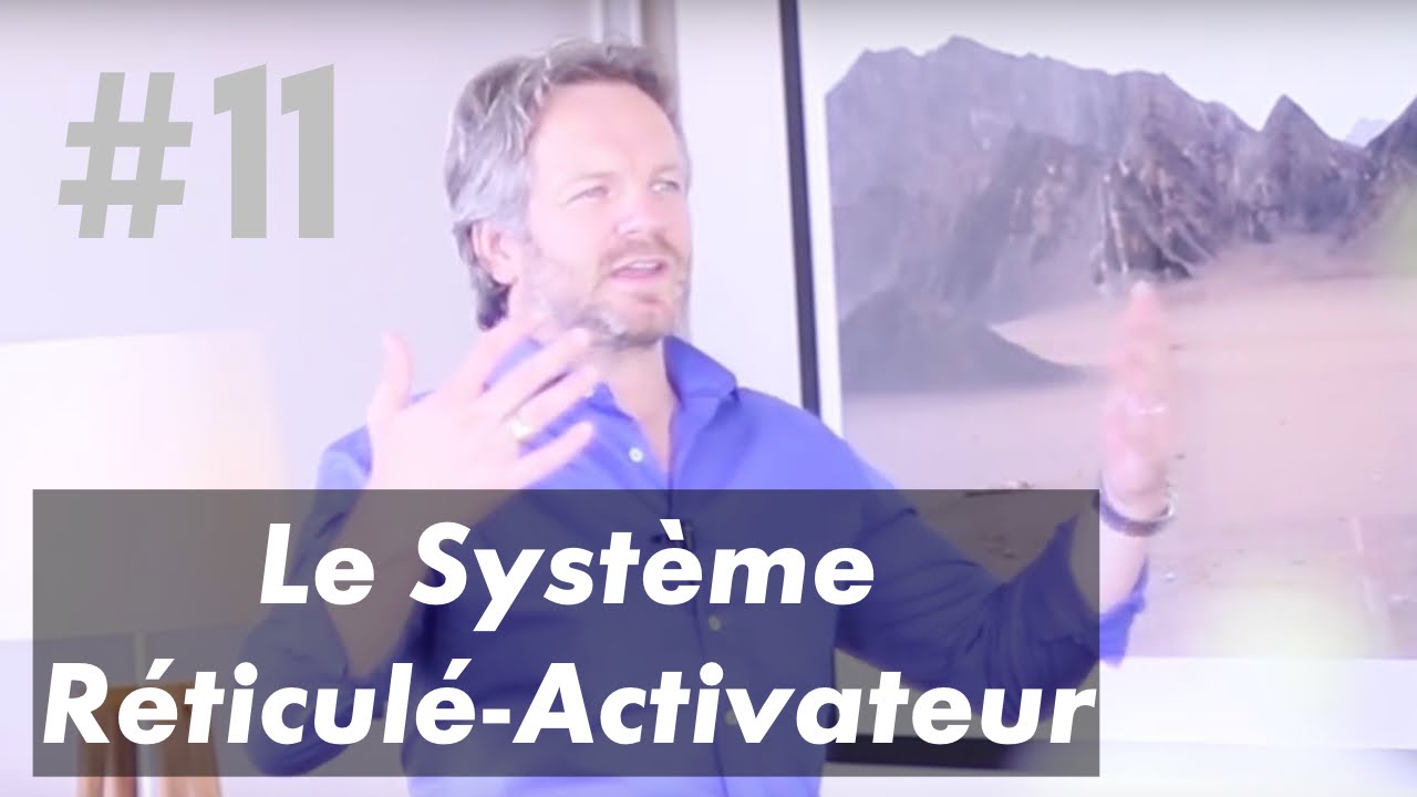 Le syst&egrave;me R&eacute;ticul&eacute;-Activateur