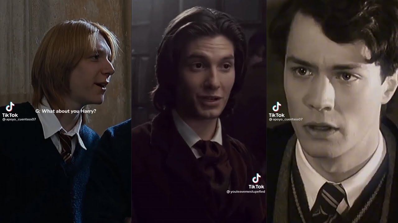 Harry Potter TikTok Compilations