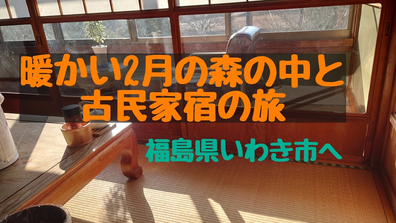 2026.2月の森の中/趣味はドライブ宿は格安な旅