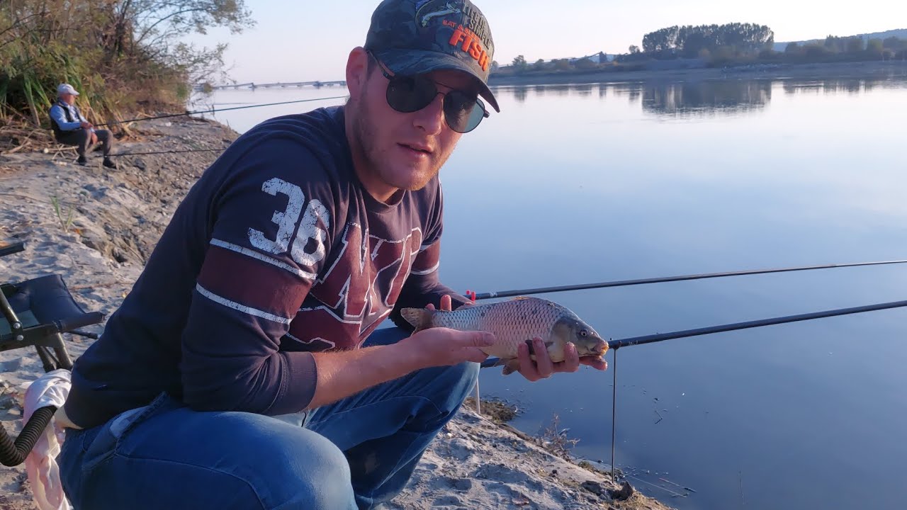 Pescuit la Olt dupa crap #match #carpfishing #river