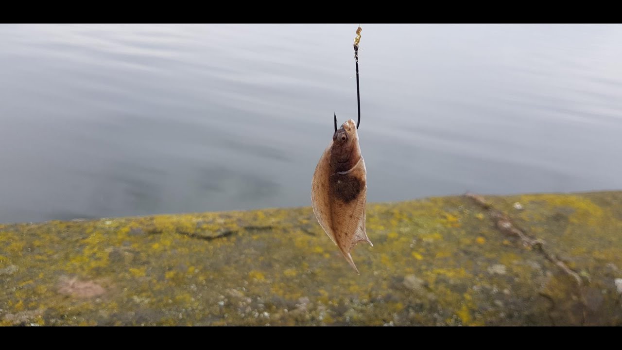 Short session Riverside in Dundee