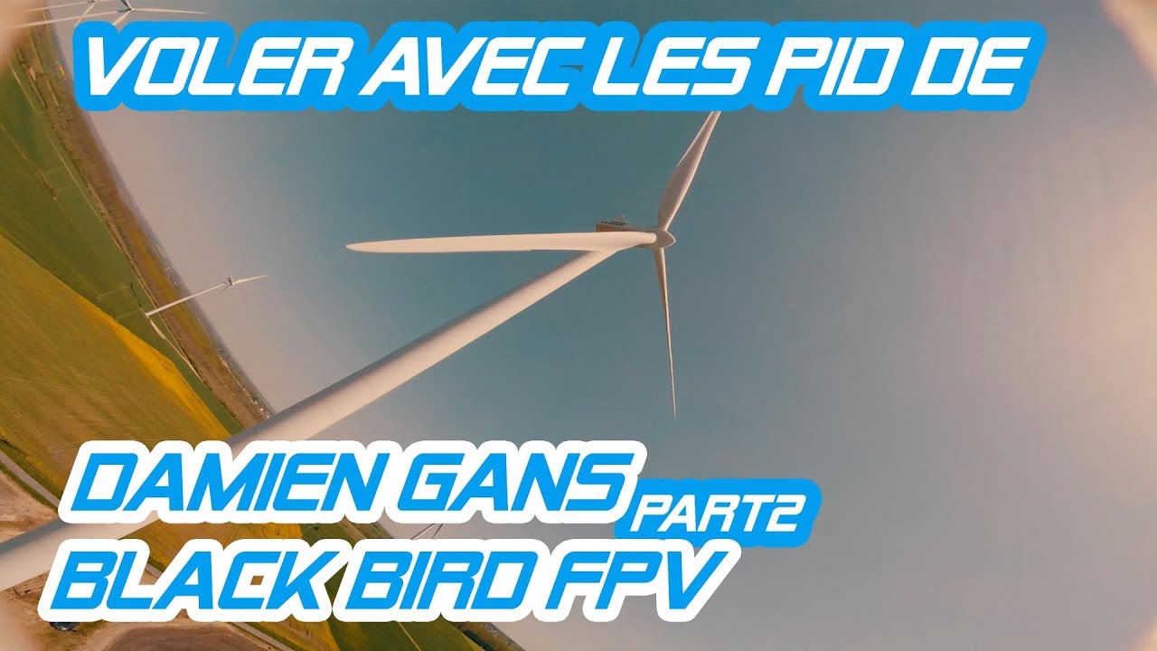 Voler avec les PID de Damien GANS ! Part 2 - Flightone Black Bird FPV