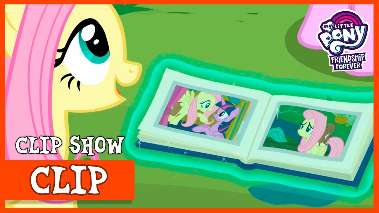 Fluttershy Succeeds At Collecting Her Memories (Memnagerie) | MLP: Friendship is Forever